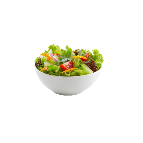 Fresh garden salad with lettuce, tomatoes, cucumbers, and onions